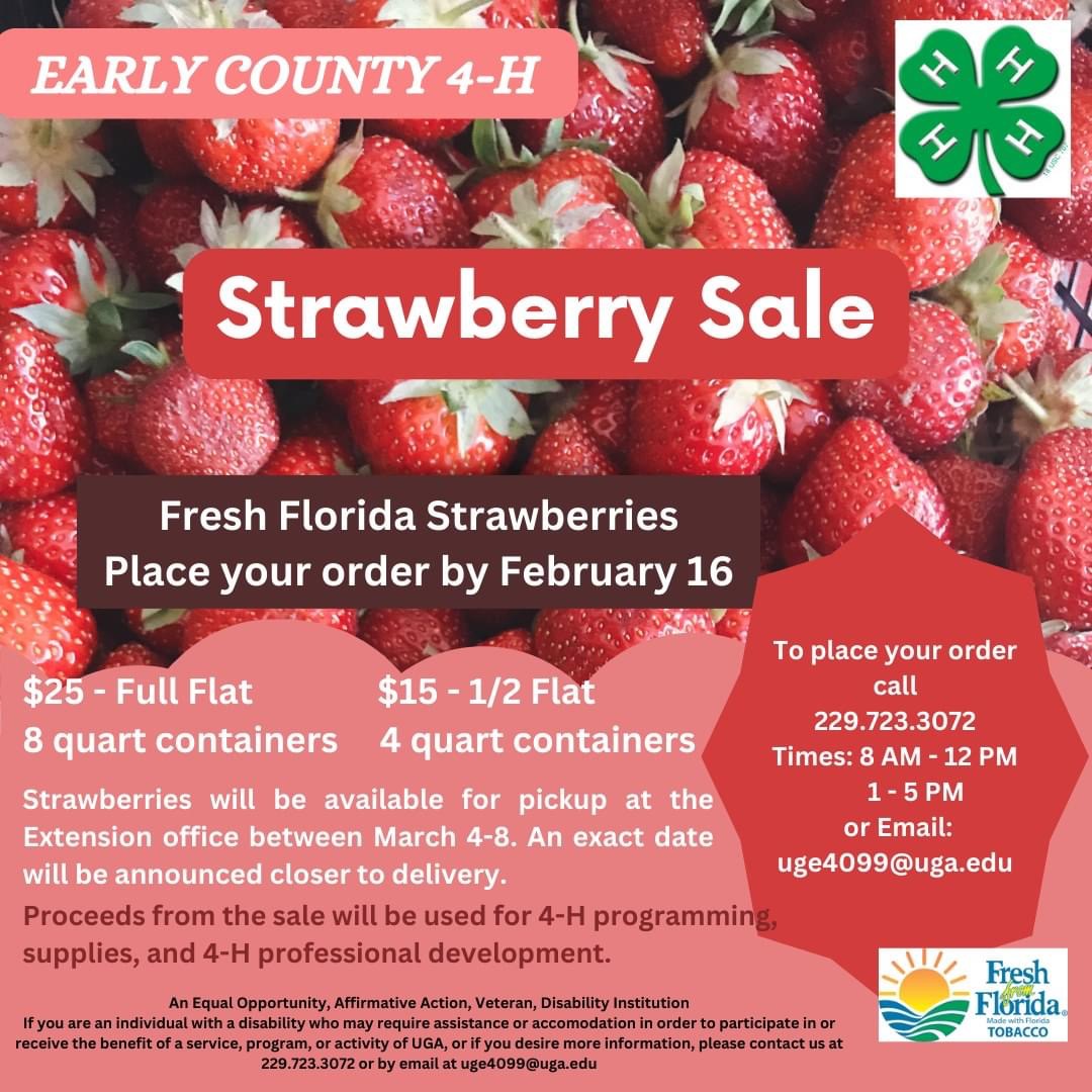 Early County 4-H Strawberry Sale
